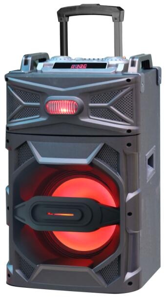 rechargeable speaker price