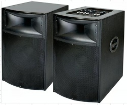 Active Party Speaker